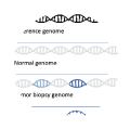 NEOANTIGEN IDENTIFICATION BY NUCLEOTIDE SEQUENCE COMPARISON